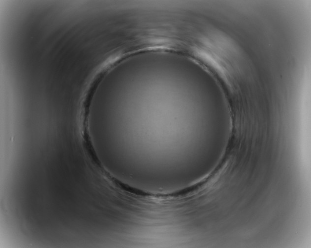 X0000088751411200706071711