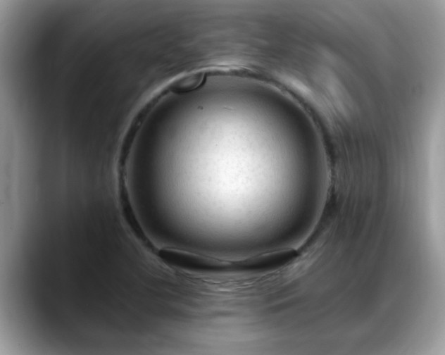 X0000088751412200706071711