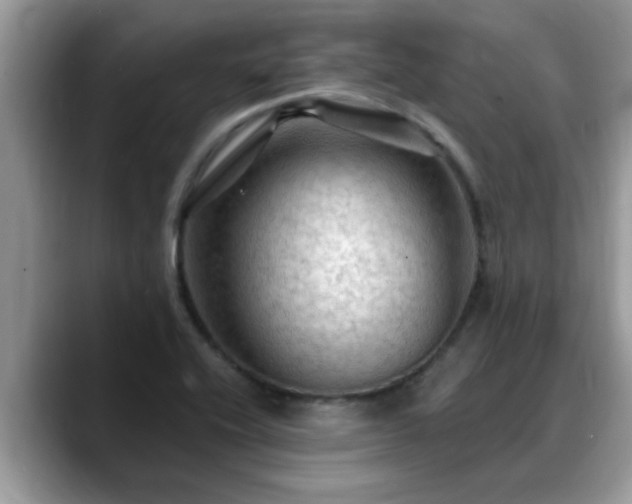 X0000088751416200706071711