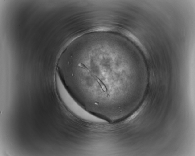 X0000088751417200706071711