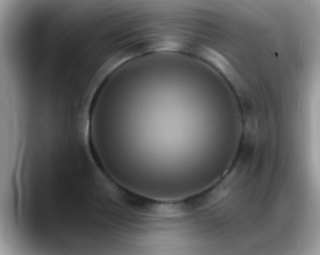 X0000088751418200706071711