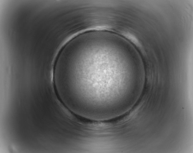 X0000088751420200706071711