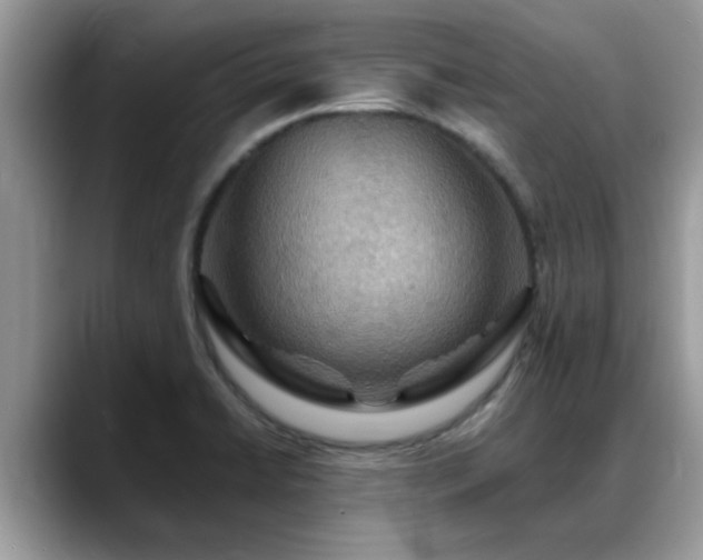 X0000088751422200706071711