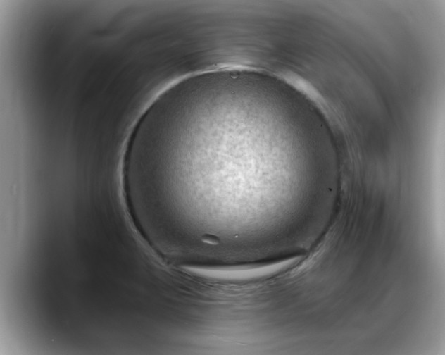X0000088751423200706071711