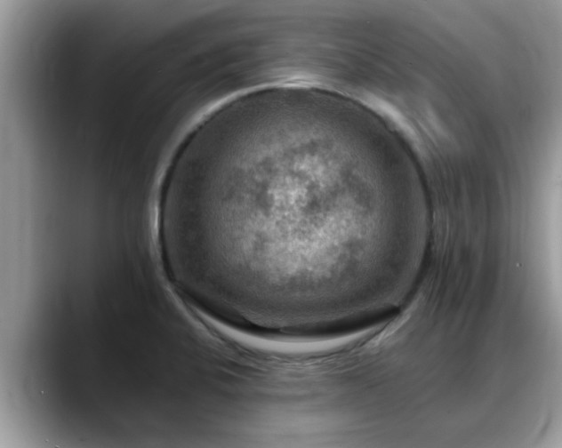 X0000088751424200706071711