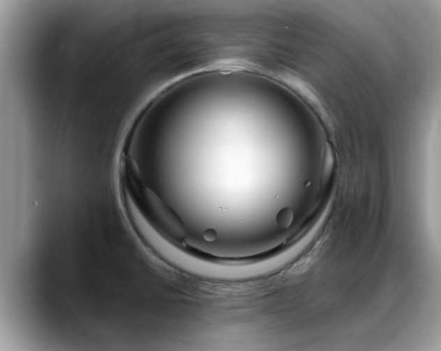 X0000088751430200706071711