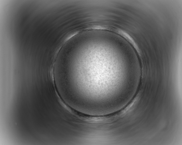 X0000088751433200706071711