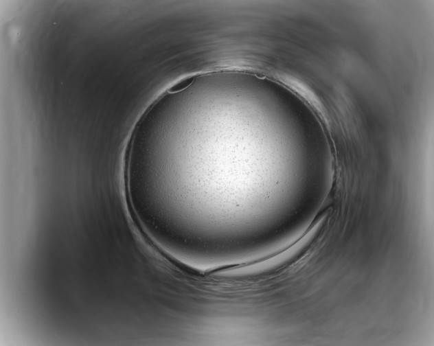 X0000088751439200706071711