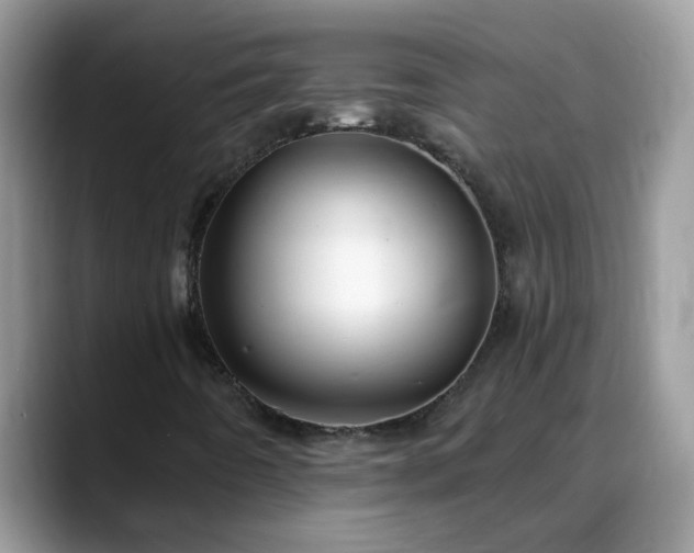 X0000088751442200706071711
