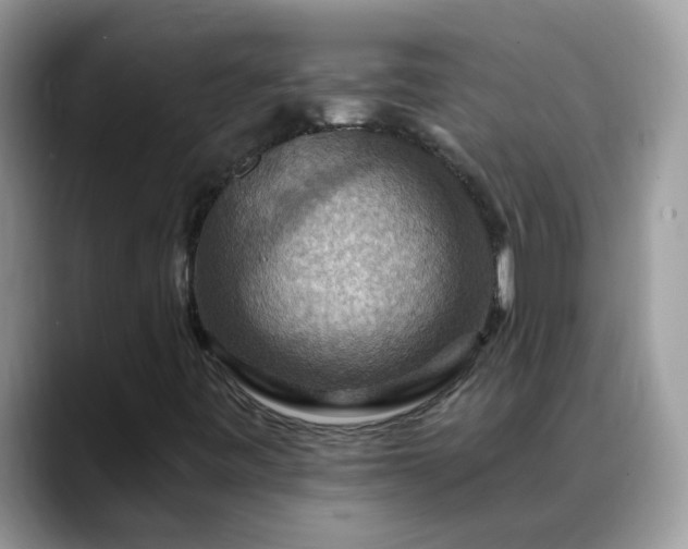 X0000088751443200706071711