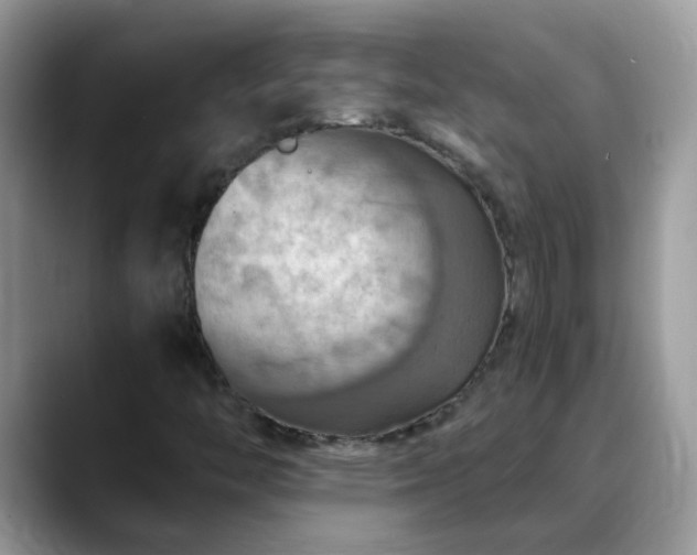 X0000088751446200706071711