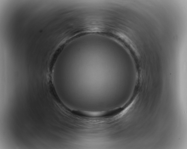 X0000088751449200706071711