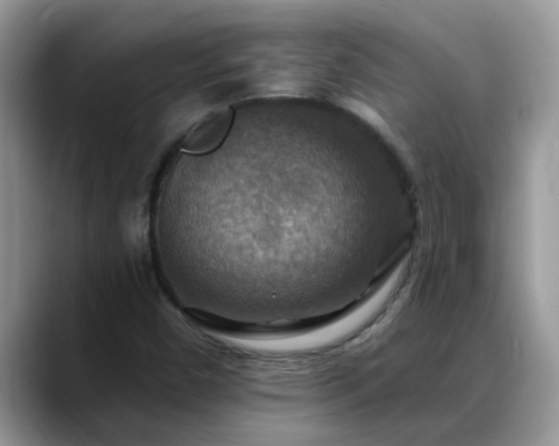 X0000088751450200706071711