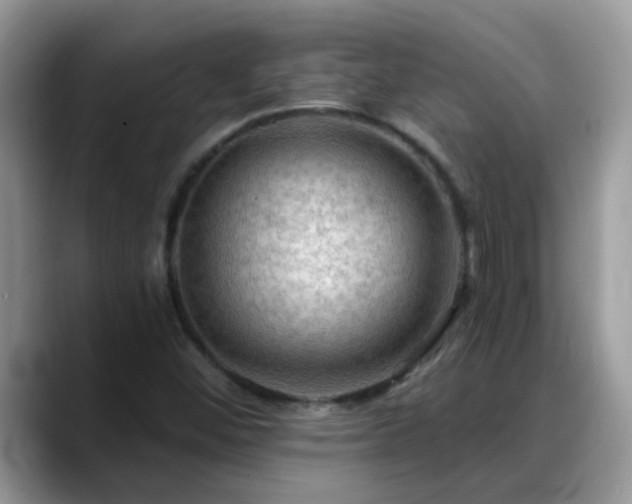X0000088751452200706071711