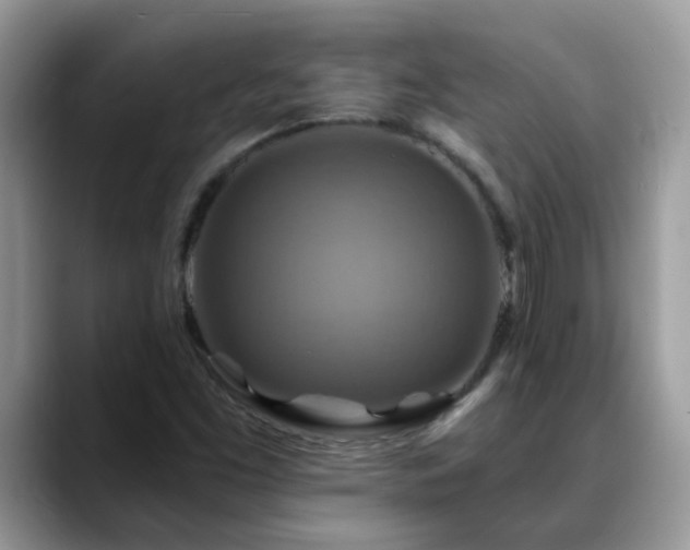 X0000088751453200706071711