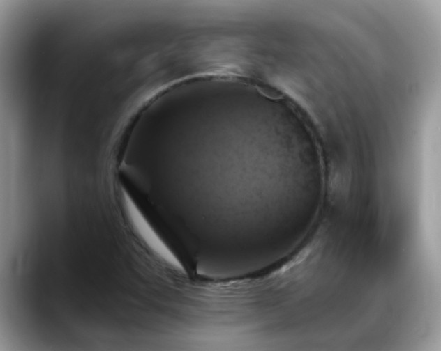 X0000088751455200706071711