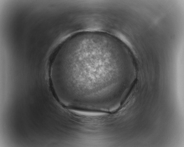 X0000088751456200706071711