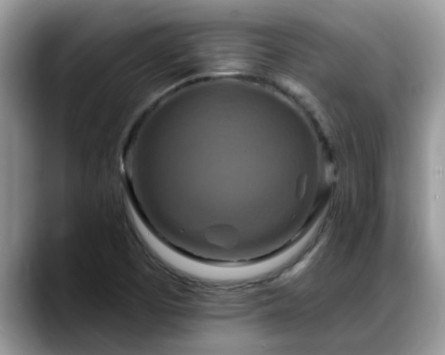X0000088751457200706071711