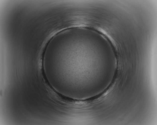 X0000088751459200706071710