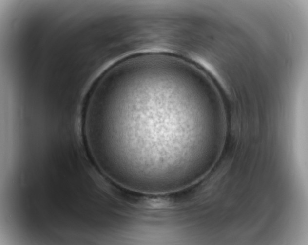 X0000088751460200706071710