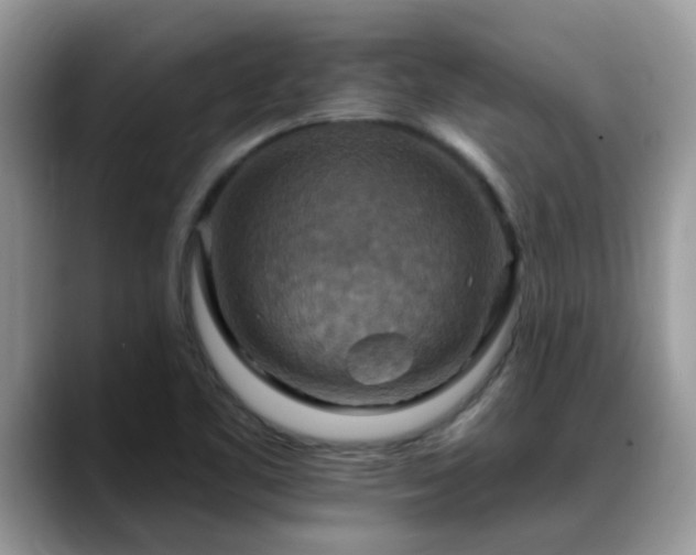 X0000088751461200706071710