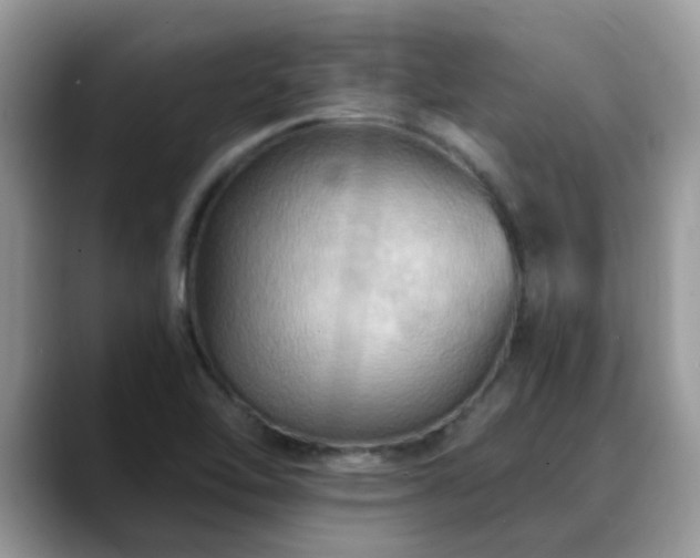 X0000088751462200706071710