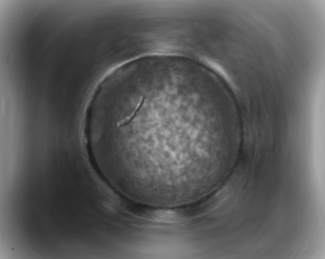 X0000088751463200706071710