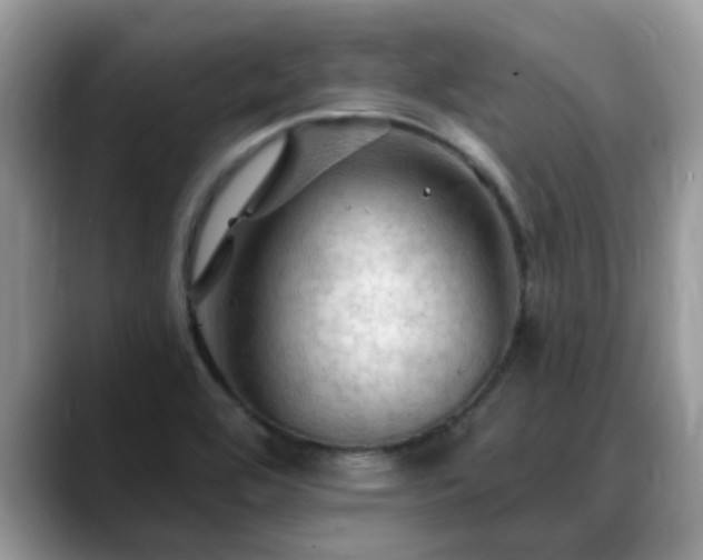 X0000088751464200706071710