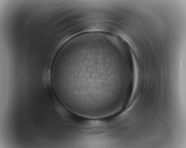 X0000088751465200706071710