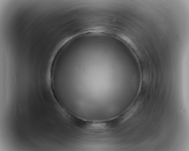 X0000088751466200706071710