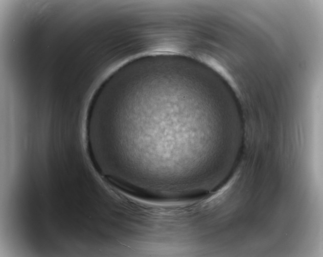 X0000088751469200706071710
