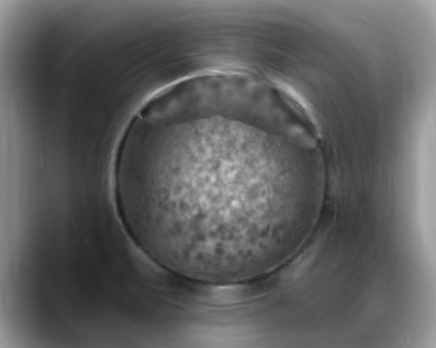X0000088751471200706071710