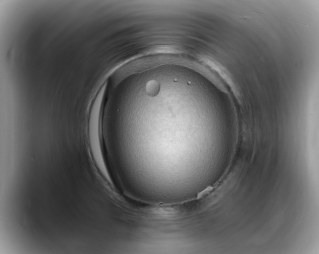X0000088751473200706071710