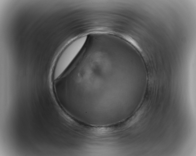X0000088751474200706071710