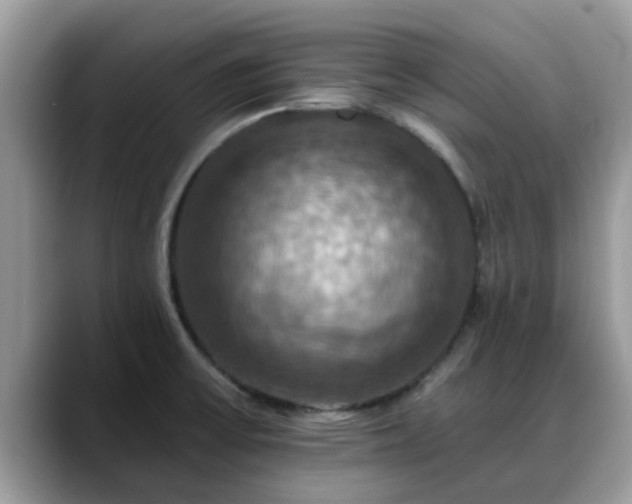 X0000088751475200706071710