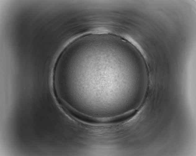 X0000088751477200706071710