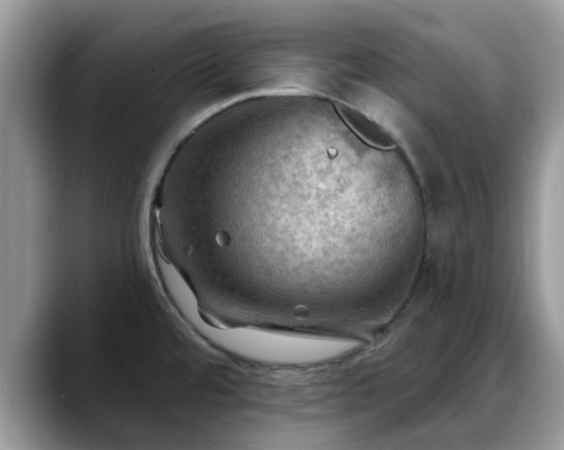 X0000088751480200706071710