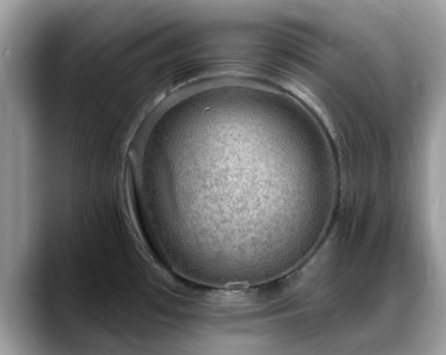X0000088751481200706071710