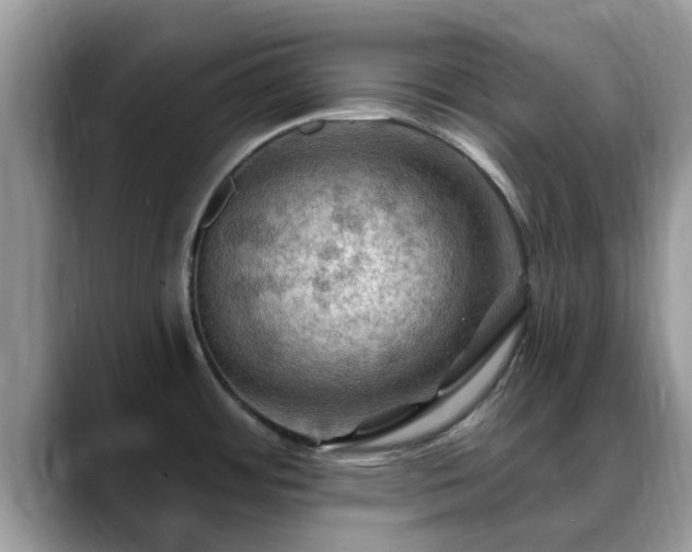 X0000088751484200706071710