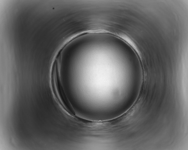 X0000088751485200706071710