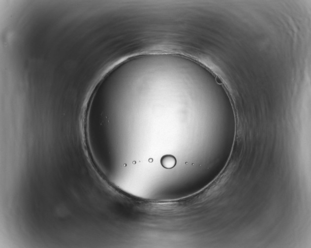 X0000088751486200706071710