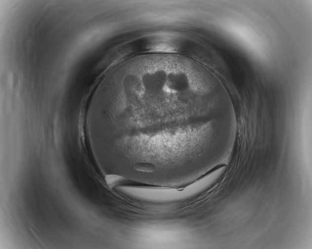 X0000088751487200706071710
