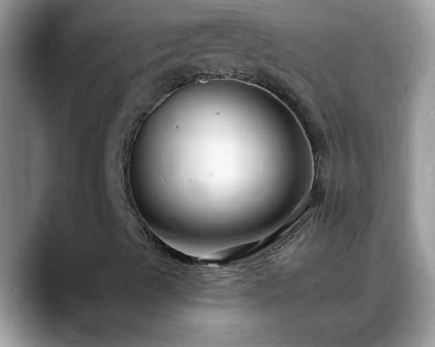 X0000088751489200706071709
