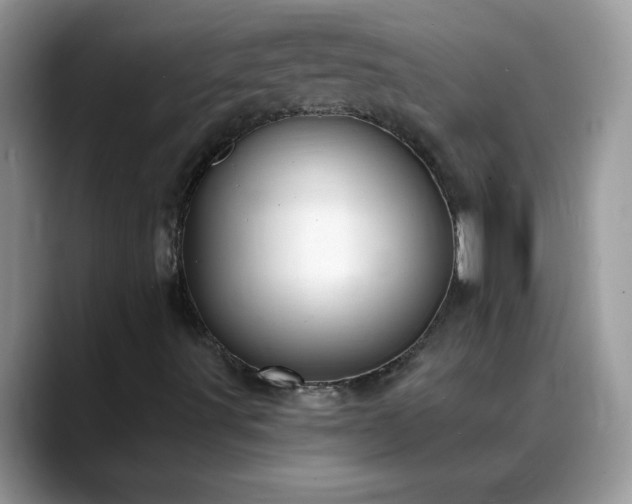 X0000088751491200706071709