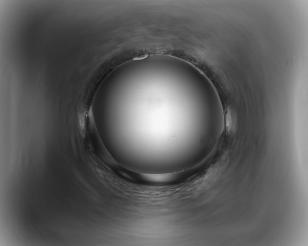 X0000088751492200706071710
