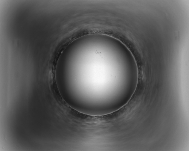 X0000088751493200706071710
