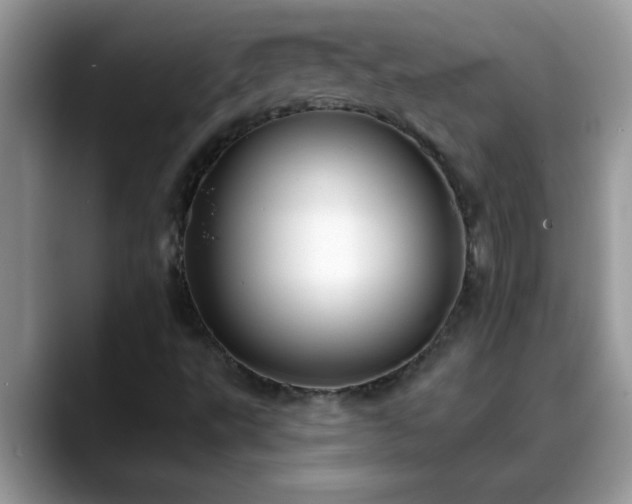 X0000088751495200706071710
