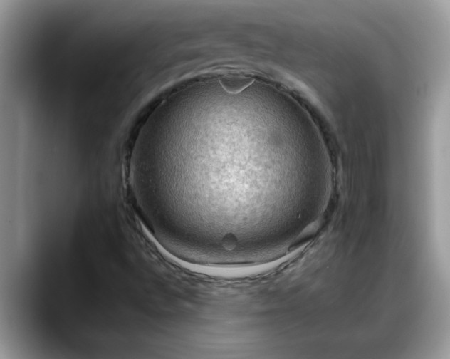 X0000088751496200706071710