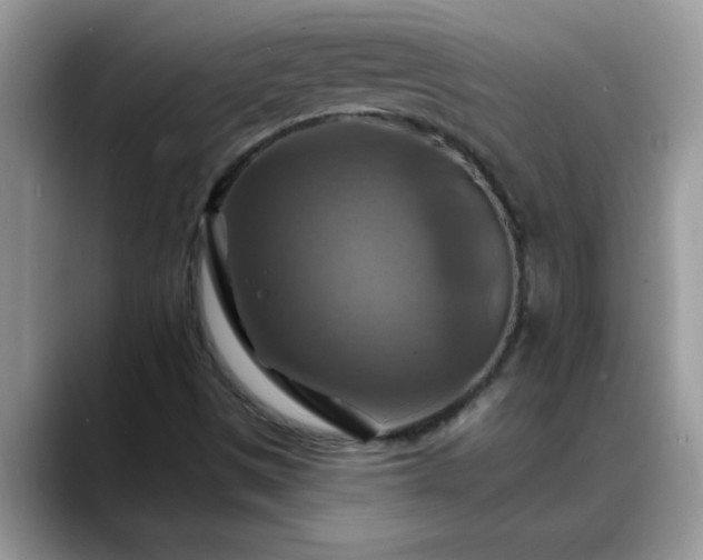 X0000088751497200706071710