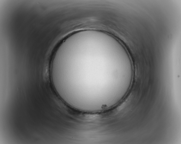 X0000088751498200706071710